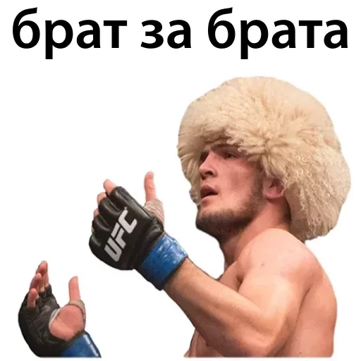 Sticker from the "Хабиб Нурмагомедов & Конор Макгрегор" sticker pack