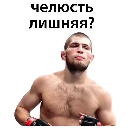 Sticker from the "Хабиб Нурмагомедов & Конор Макгрегор" sticker pack