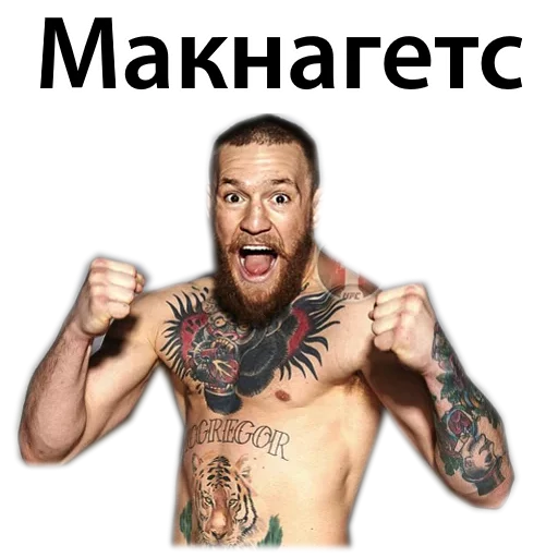 Sticker Хабиб Нурмагомедов & Конор Макгрегор