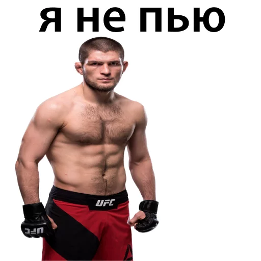 Sticker from the "Хабиб Нурмагомедов & Конор Макгрегор" sticker pack