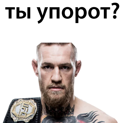 Sticker from the "Хабиб Нурмагомедов & Конор Макгрегор" sticker pack