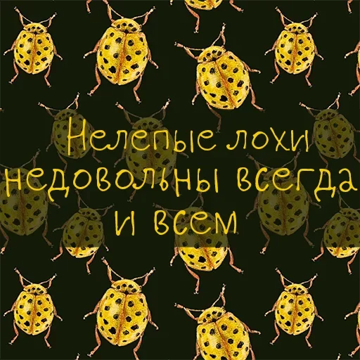 Sticker Привет со дна