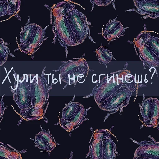 Sticker from the "Привет со дна" sticker pack