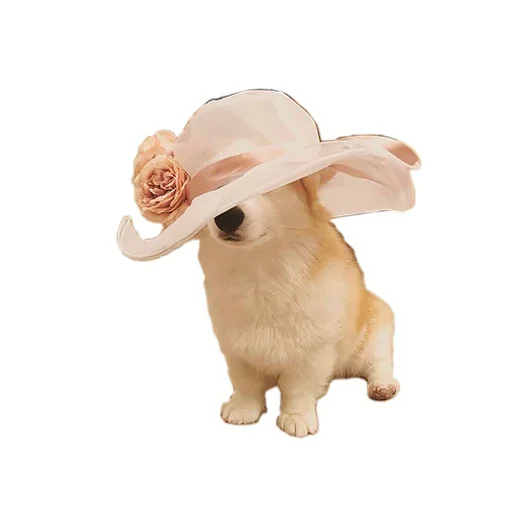 Sticker from the "Corgis" sticker pack