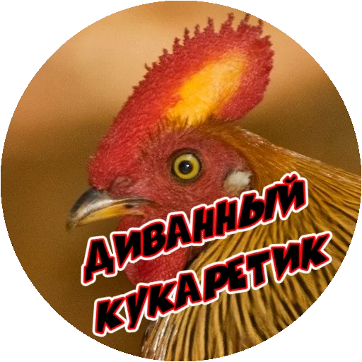 Sticker from the "Злые Птицы - part 1" sticker pack