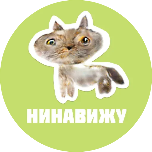 Стикер из набора "CreepyCats"