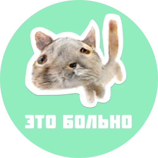 Sticker from the "CreepyCats" sticker pack