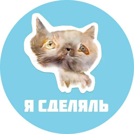 Стикер из набора "CreepyCats"