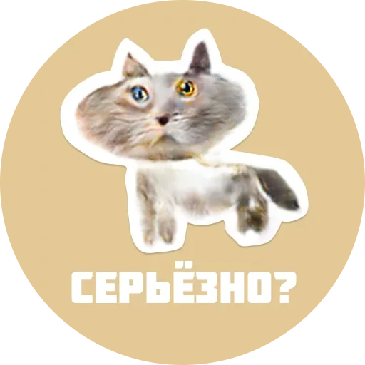 Sticker from the "CreepyCats" sticker pack