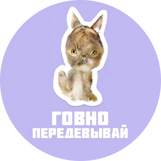 Sticker from the "CreepyCats" sticker pack