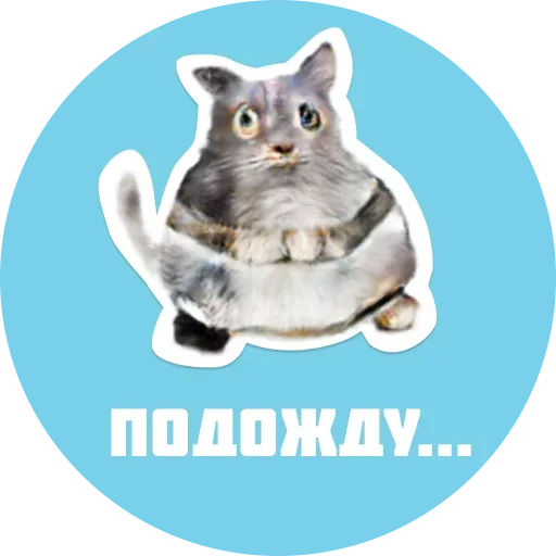 Sticker from the "CreepyCats" sticker pack