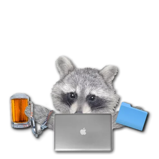 Sticker from the "famous racoon" sticker pack