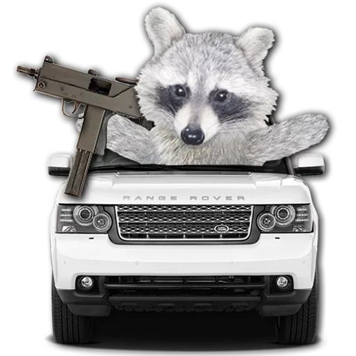 Sticker from the "famous racoon" sticker pack