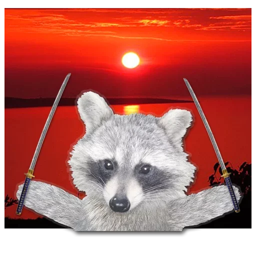 Sticker from the "famous racoon" sticker pack