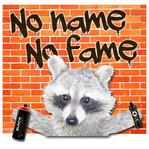 Sticker from the "famous racoon" sticker pack