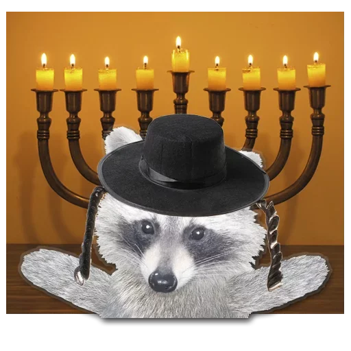 Sticker from the "famous racoon" sticker pack