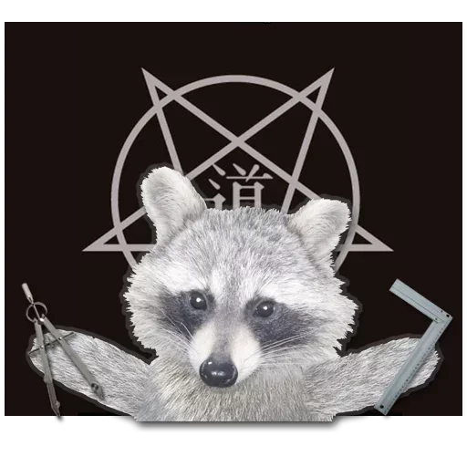 Sticker from the "famous racoon" sticker pack