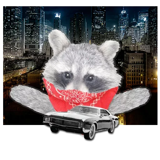 Sticker from the "famous racoon" sticker pack