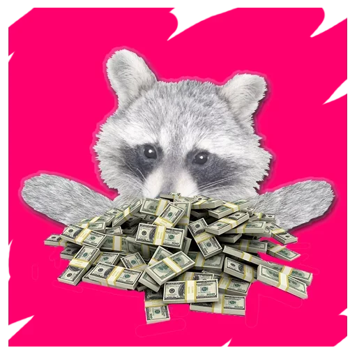 Sticker from the "famous racoon" sticker pack