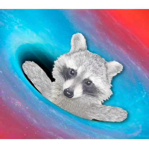 Sticker from the "famous racoon" sticker pack