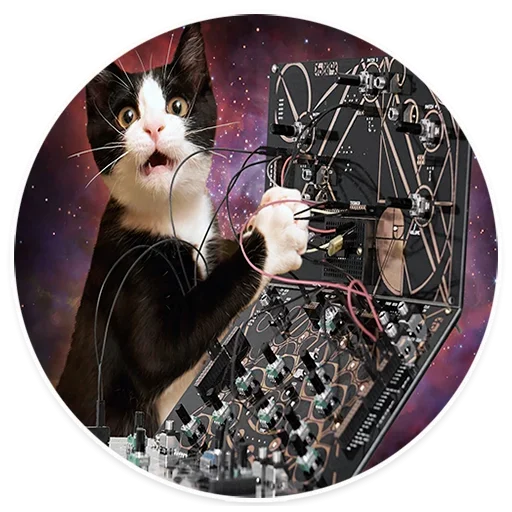 Sticker from the "Space Cats" sticker pack