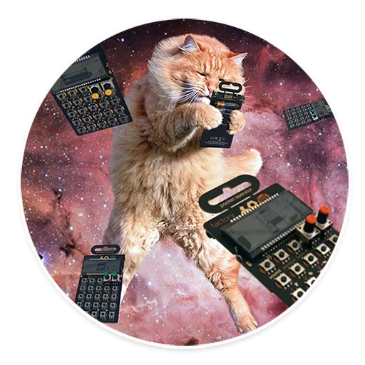 Sticker from the "Space Cats" sticker pack