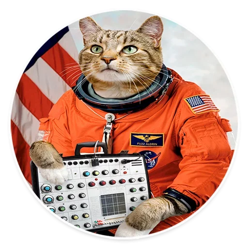 Sticker from the "Space Cats" sticker pack