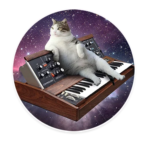 Sticker from the "Space Cats" sticker pack