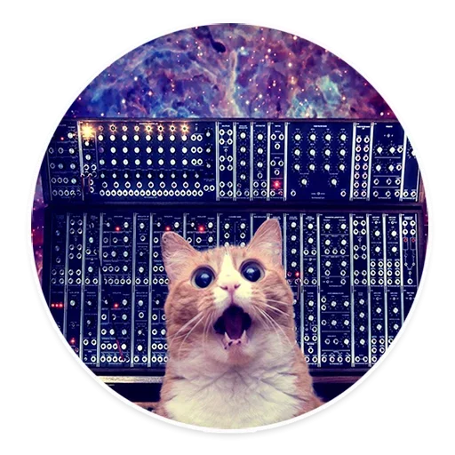 Sticker from the "Space Cats" sticker pack