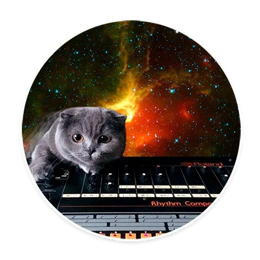 Sticker from the "Space Cats" sticker pack