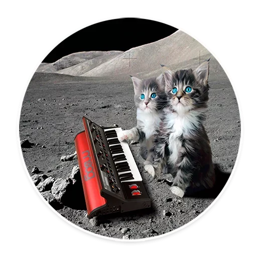 Sticker from the "Space Cats" sticker pack