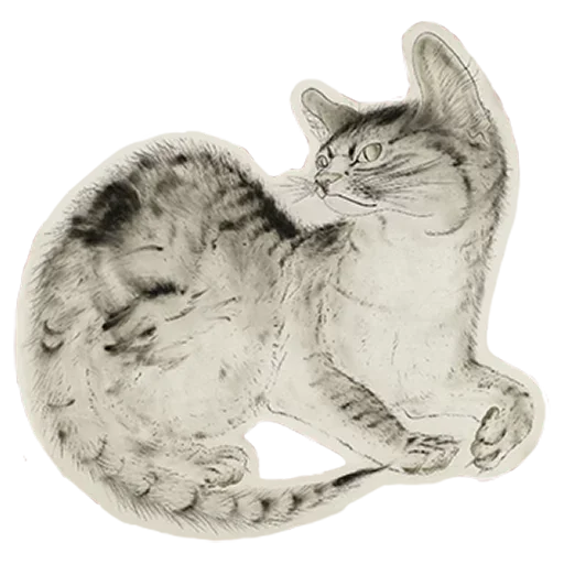 Sticker from the "Kitten" sticker pack