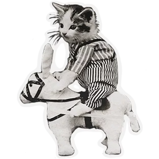 Sticker from the "Kitten" sticker pack