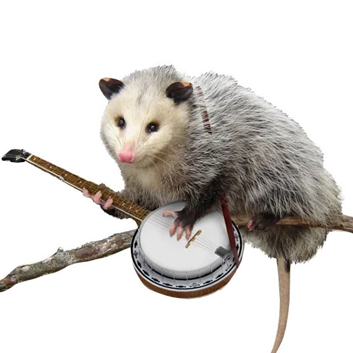 Sticker from the "Opossum Coming" sticker pack