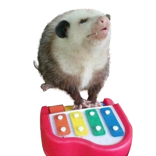 Sticker from the "Opossum Coming" sticker pack