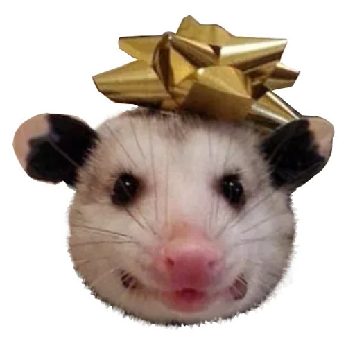 Sticker from the "Opossum Coming" sticker pack