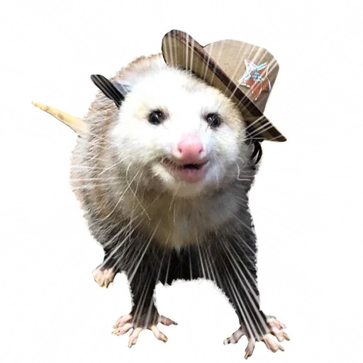 Sticker from the "Opossum Coming" sticker pack