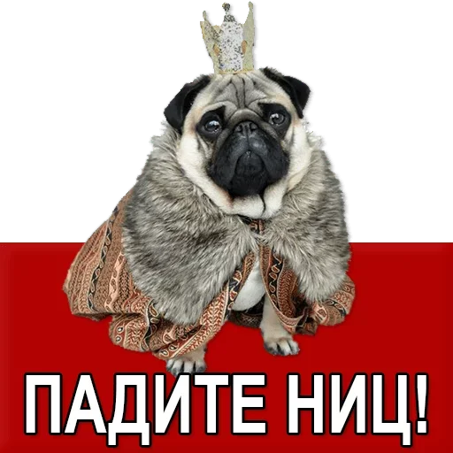 Sticker Добиваем Фазу