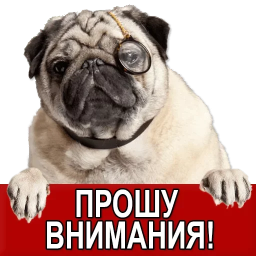 Sticker from the "Добиваем Фазу" sticker pack