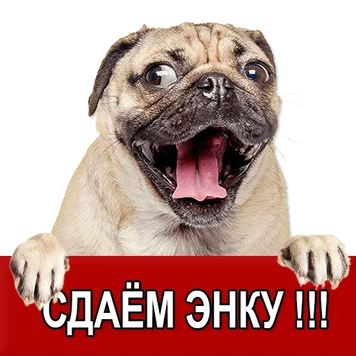 Sticker Добиваем Фазу