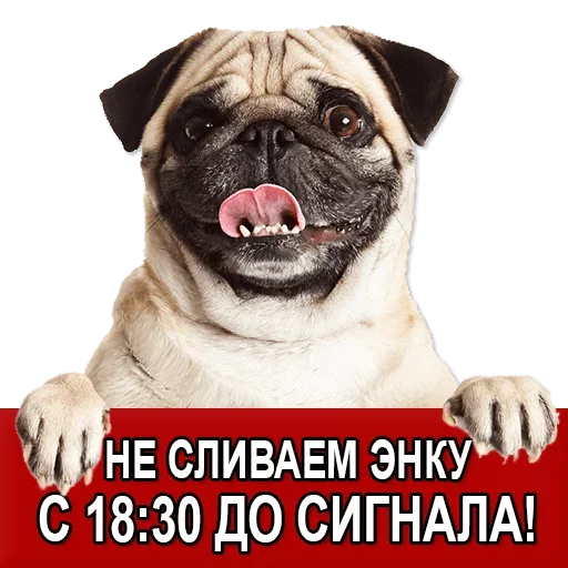 Sticker Добиваем Фазу