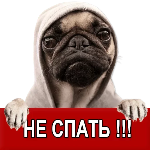 Sticker from the "Добиваем Фазу" sticker pack