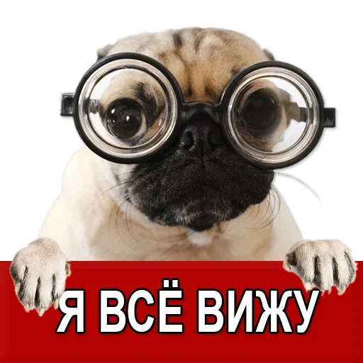 Sticker from the "Добиваем Фазу" sticker pack