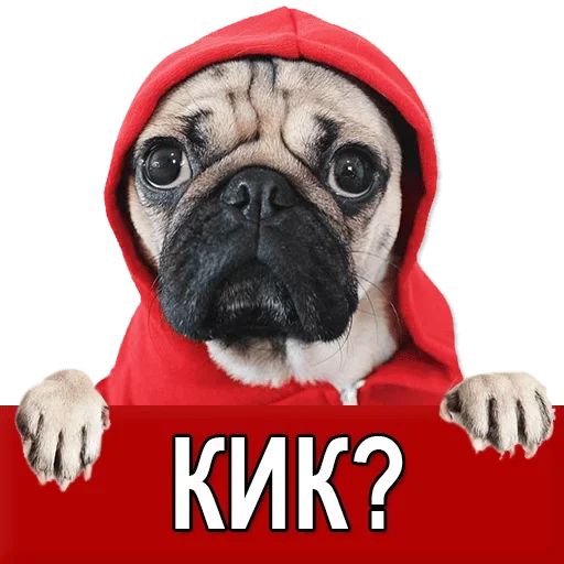 Sticker from the "Добиваем Фазу" sticker pack