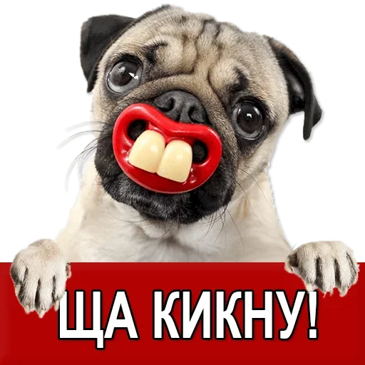 Sticker Добиваем Фазу