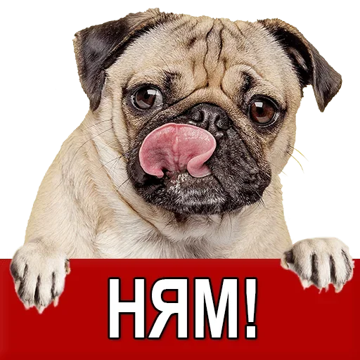 Sticker Добиваем Фазу