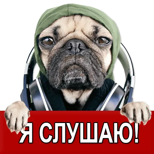 Sticker from the "Добиваем Фазу" sticker pack