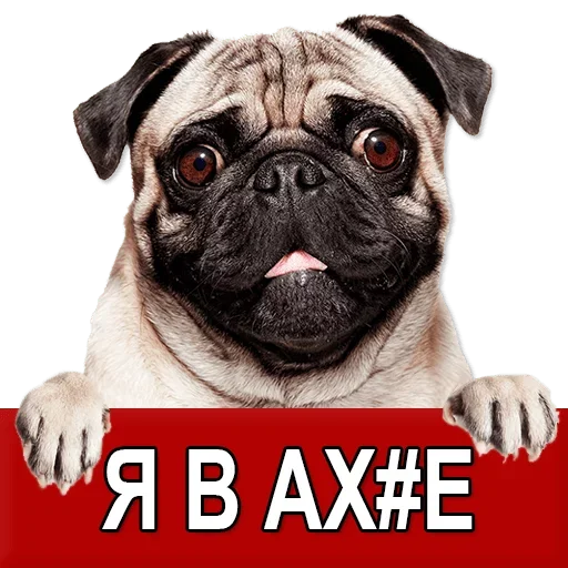 Sticker from the "Добиваем Фазу" sticker pack