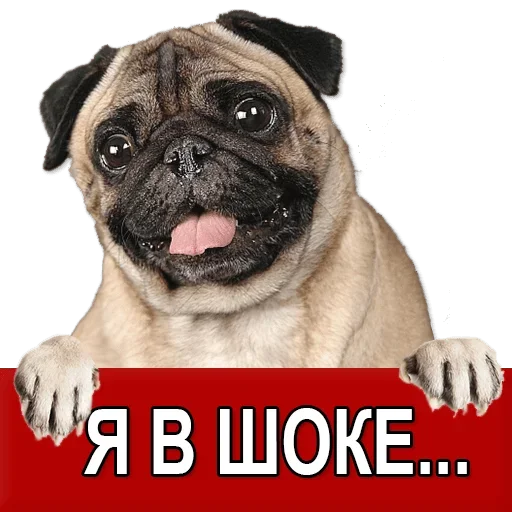 Sticker Добиваем Фазу