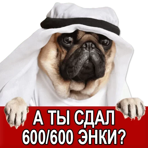 Sticker Добиваем Фазу